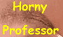 horney professor