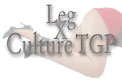 legxculture.com